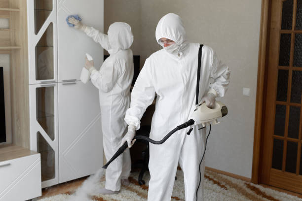 Best Mold Removal Process  in Claude, TX