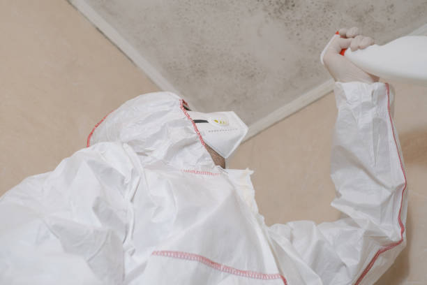 Best Crawl Space Mold Removal  in Claude, TX